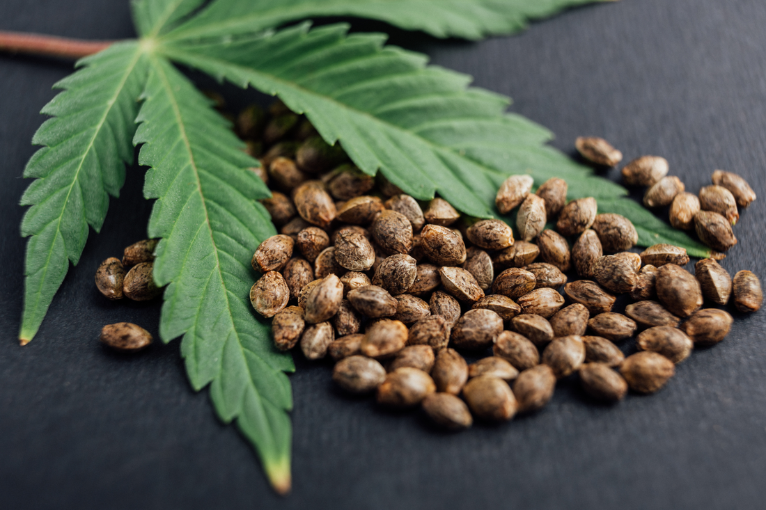Hair and Hemp Oil