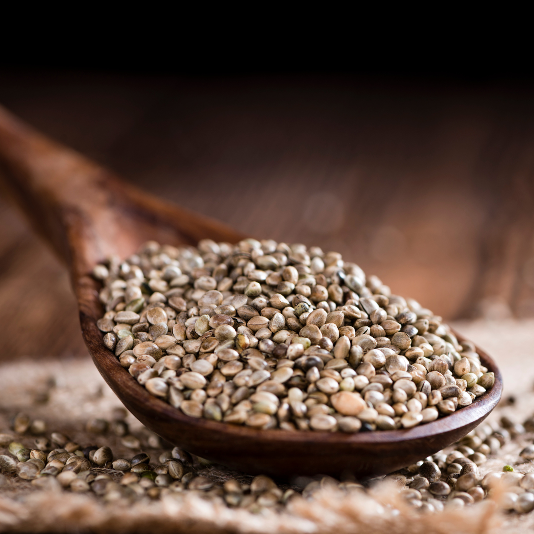 Elevate Your Afro Haircare...